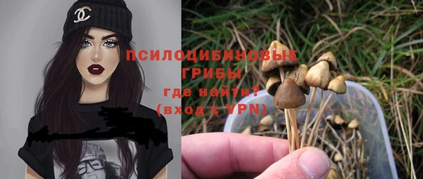 метадон Алексеевка