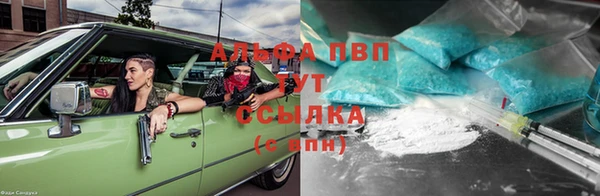 apvp Алексин