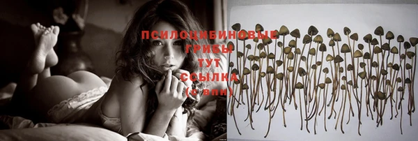 apvp Алексин