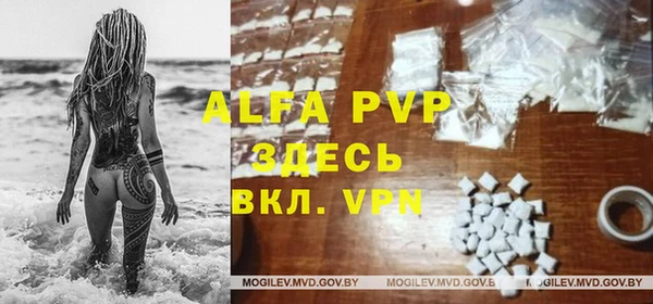 apvp Алексин