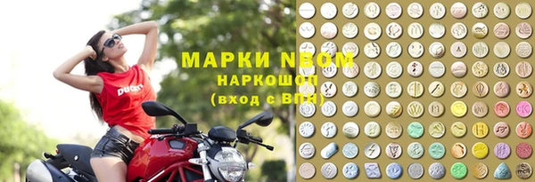 apvp Алексин
